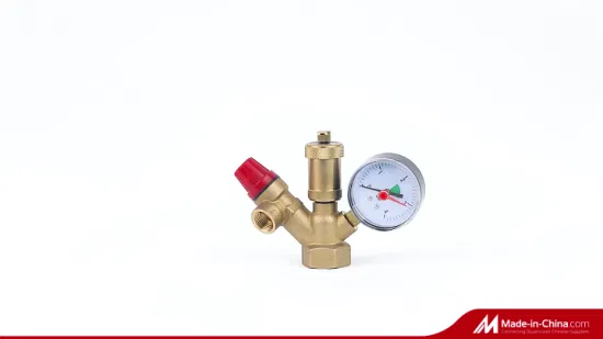 DN25 Boiler Valve Complete Gas Water Heater Parts Pressure Relief Valve Air Vent Safety Valve with Pressure Gauge