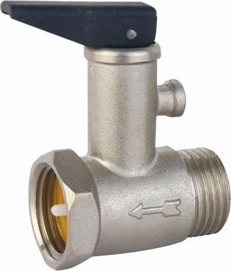 Bmag Safety Relief Valve for Water Heater